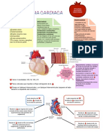 Histologia Cardiaca