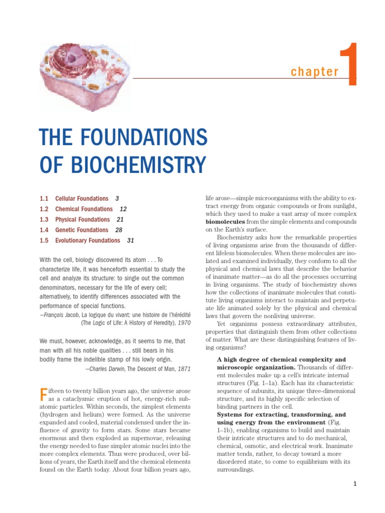 Foundations of Biochemistry Explained | PDF | Cell (Biology) | Bacteria