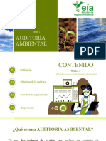 Auditoría ambiental: definición, objetivos y características
