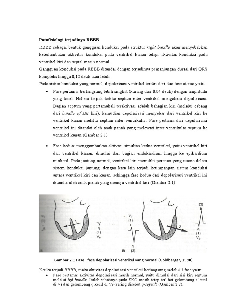 Patofisiologi dan Diagnosa RBBB | PDF | Sains & Matematika