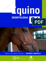 Equino_Odontologia_Imprimir