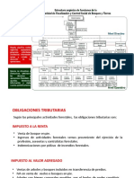 Presentación 1