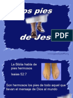 Pies