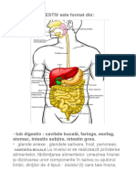 Sistemul Digestiv cl.4