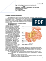 My Lecture15 - Digestion2