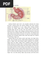 Download ANATOMI LAMBUNG by SaRah Chaerunnisa SN51274134 doc pdf