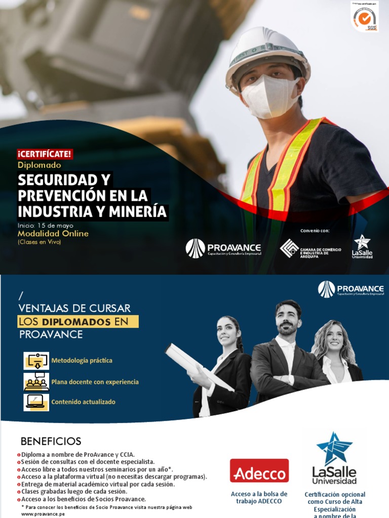 Diplomado en Seguridad y Prevencion en La Industria y en La Mineria ...