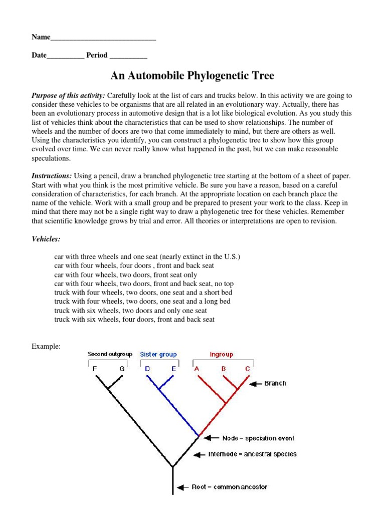An Automobile Tree PDF Tree Biology