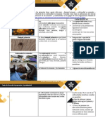 Ev3.taller - Zoonosis y Antropozoonosis #5