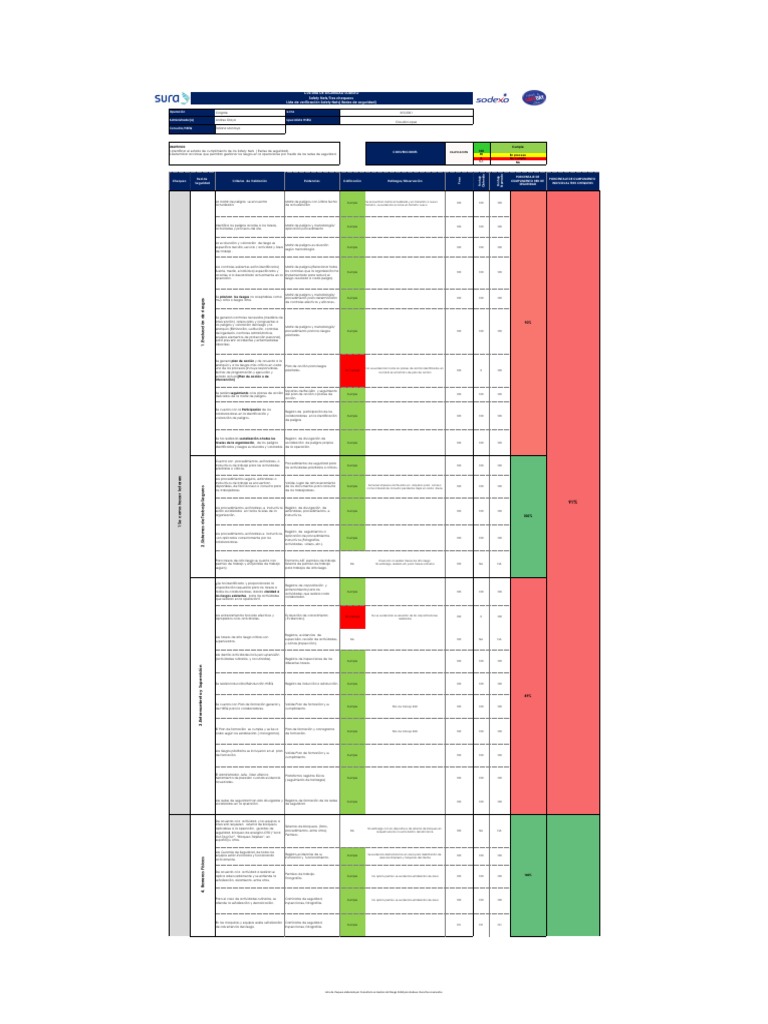 Modelo de Safety Nets en Sodexo | PDF | Evaluación | Informática y ...