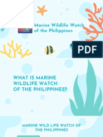 Marine Wildlife Watch of The Philippines