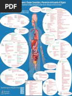Clasificación de Carcinógenos IARC | PDF