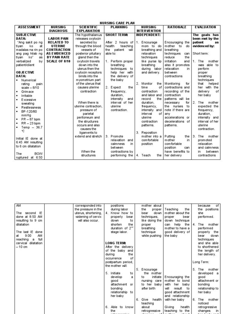 A Comprehensive Nursing Care Plan for Labor and Delivery Addressing Pain Management, Fetal
