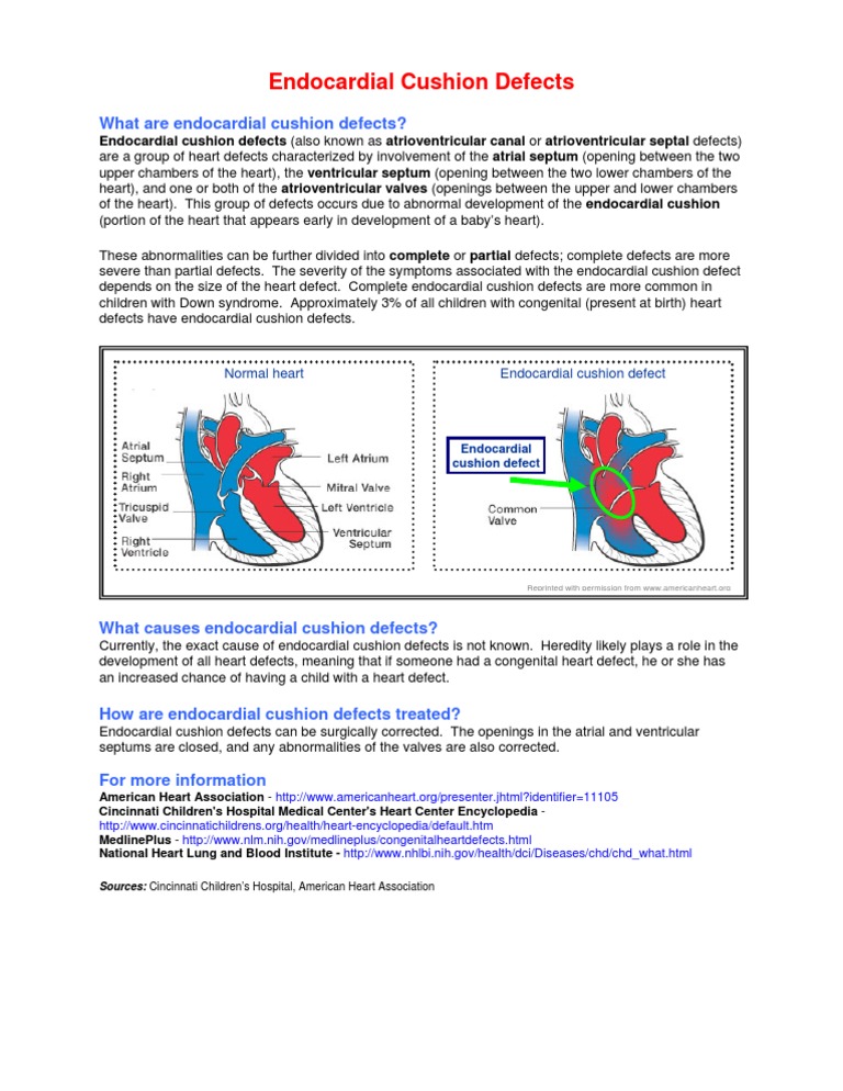 Endocardial Cushion PDF Congenital Heart Defect Heart