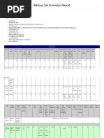 Backup Job Summary Report