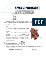 Aparato Circulatorio 2021