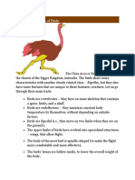 Main Characteristics of Birds