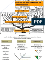 Clase2-2013- Sistemas de Clasificacion-Nomeclatura Botanica