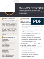 CV Muhammad Nur Effendi