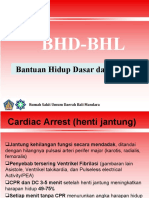 BHD BHL - RSBM