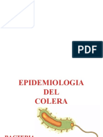 El colera presentacion