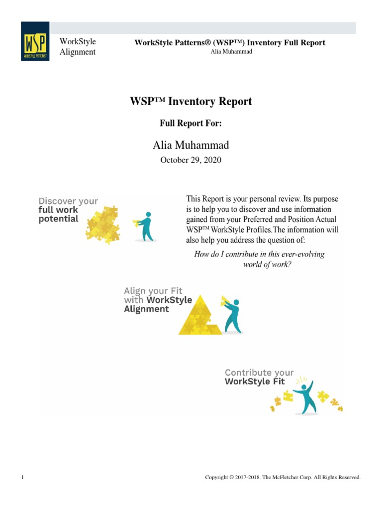 WSP Report | PDF | Stress (Biology) | Analytics