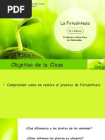 Guian5 PPT Sexto Bsico Fotosntesis