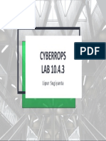 Cyberrops