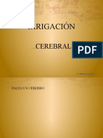 Irrigación Cerebral