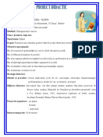 386 Proiect Didactic