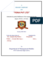"Fena PVT LTD": A Project Report ON
