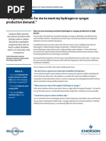 Emerson Gravity Meter Brochure for steam-to-carbon ratio control