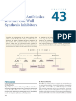 Beta-lactam antibiotics cell wall synthesis inhibitors