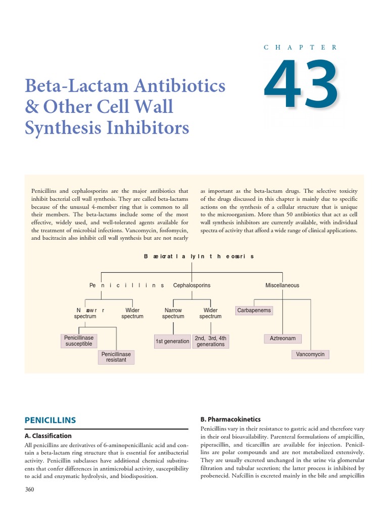 Classification of Cell Wall Inhibitors | PDF | Penicillin | Beta Lactamase