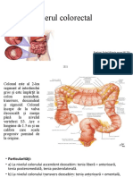 Cancerul Colorectal Proiect