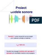 Proiect - Unde Sonore