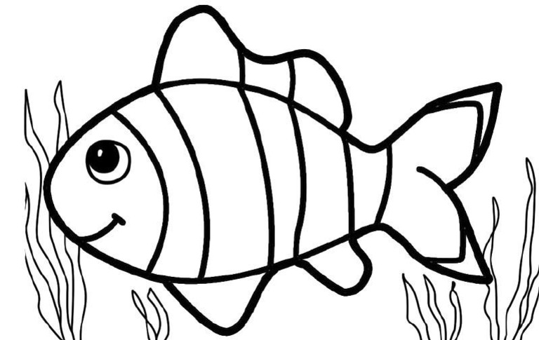 Gambar Ikan Mewarnai Anak | PDF