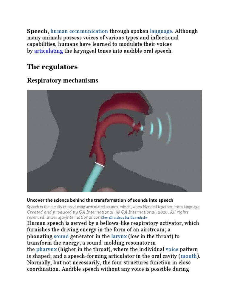 The Regulators Respiratory Mechanisms: Articulating | PDF | Language ...