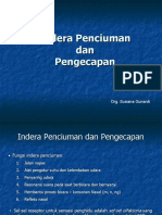 Indra Penciuman & Pengecap