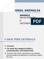 Regnul Animalia