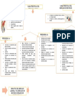 Mapa Conceptual Mercado Laboral