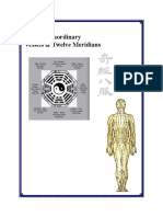 12 Meridians and 8 Vessels