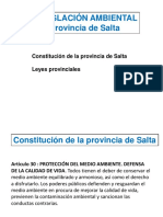 Leyes Provinciales - Salta