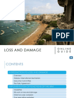 Online Guide Feb 2020 Loss and Damage