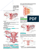Anatomi Dan Histologi Uterus
