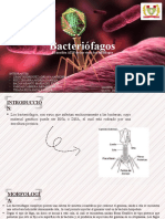 Bacteriófagos: el insólito ADN de los virus bacterianos