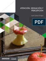 ATENCIÓN, SENSACIÓN Y PERCEPCIÓN-6-11