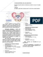 I. 2 Estudio - Obstetrico - de - La - Pelvis