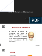 Tema 4 Comunicación neuronal Sinapsis