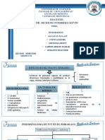 IVU en embarazo: bacteriuria, cistitis, pielonefritis